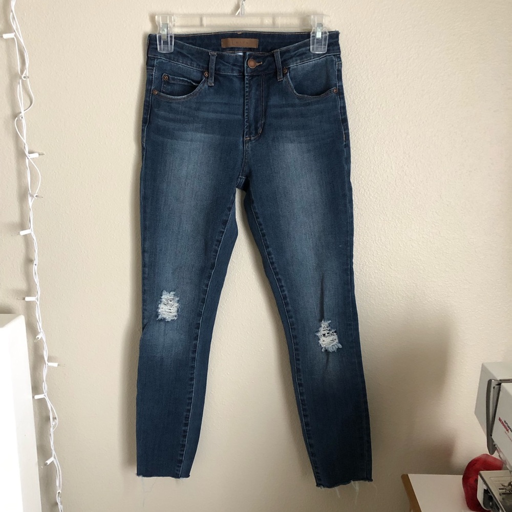 LEITH Ankle Skinny Jean